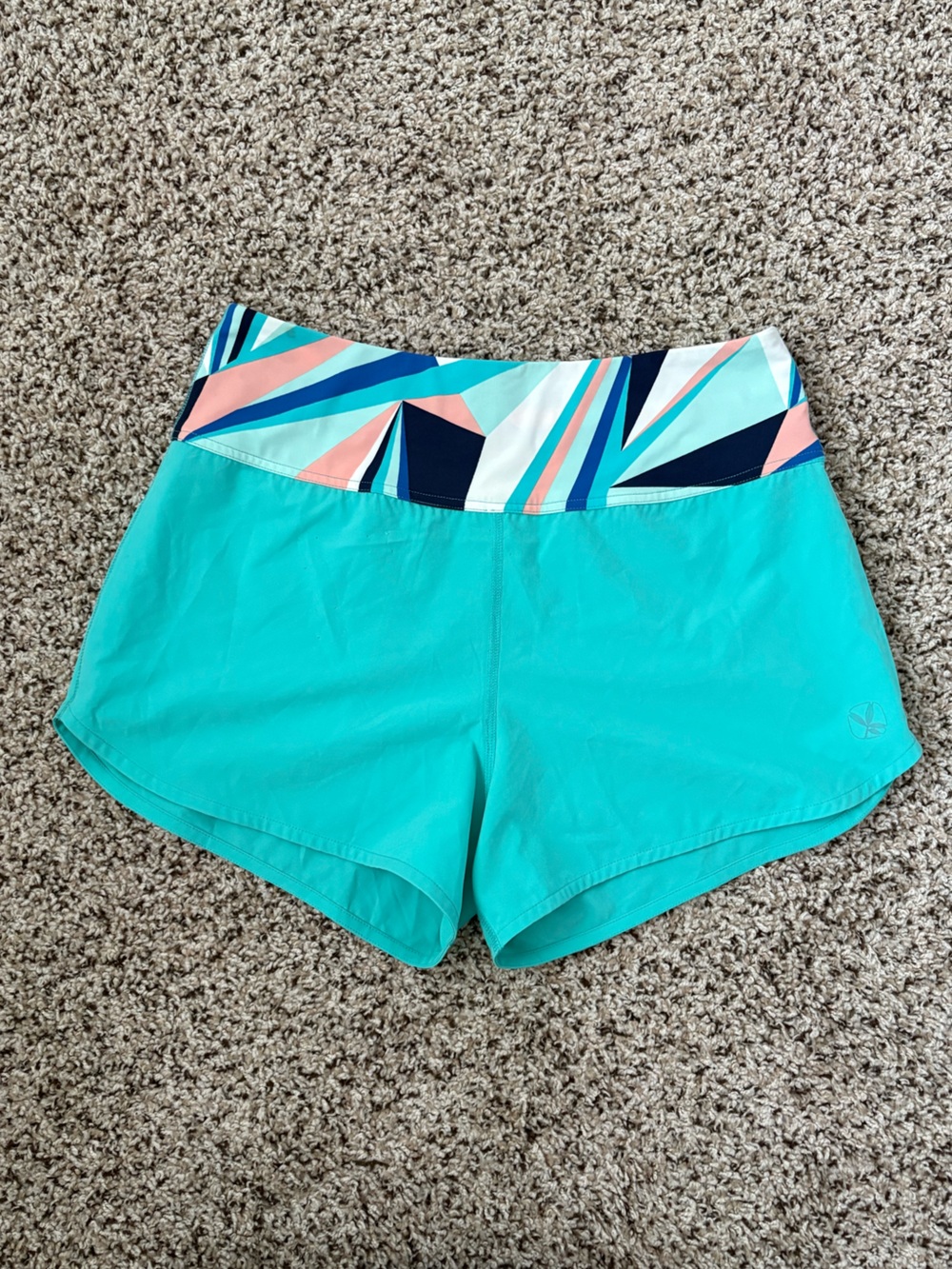 Carve Designs Aqua Boardshorts with Geo-Print Waistband